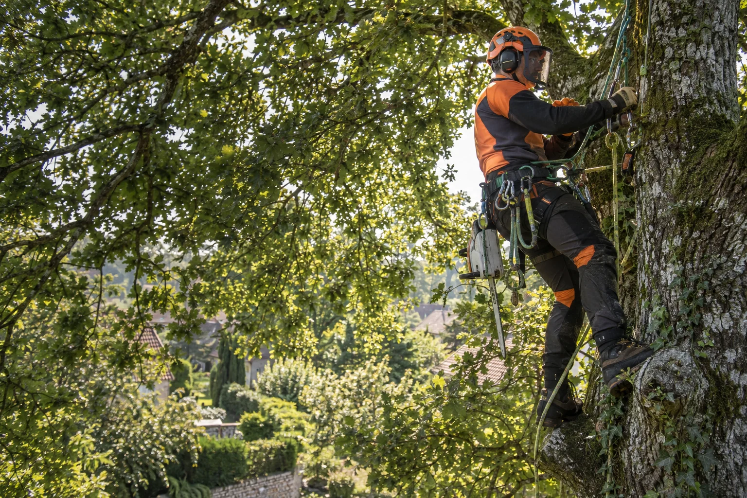 Illustration d’un arboriste équipé travaillant dans un arbre